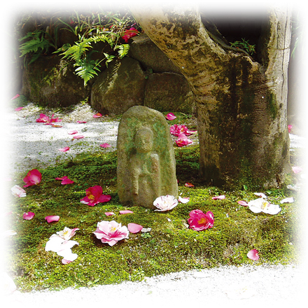 白毫寺