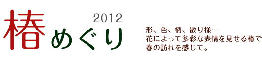 椿めぐり　2012