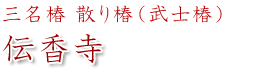 伝香寺