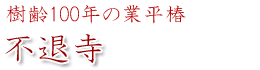 不退寺