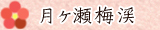 月ヶ瀬梅渓