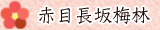 赤目長坂梅林