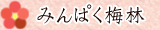 みんぱく梅林