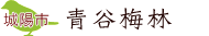青谷梅林
